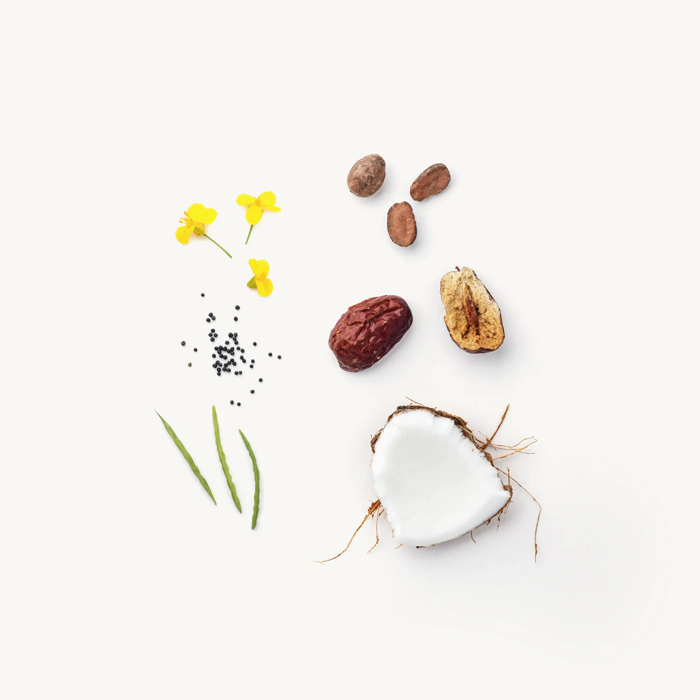 EvolveTogether-Lip balm, Provence 8g