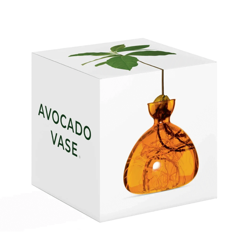 Ilex Studio Avocado Vase
